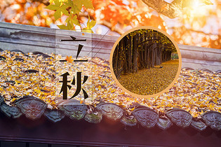 可燃氣體報警器應避免在以下環境進行使用